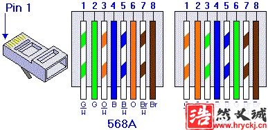 网线568A 568B